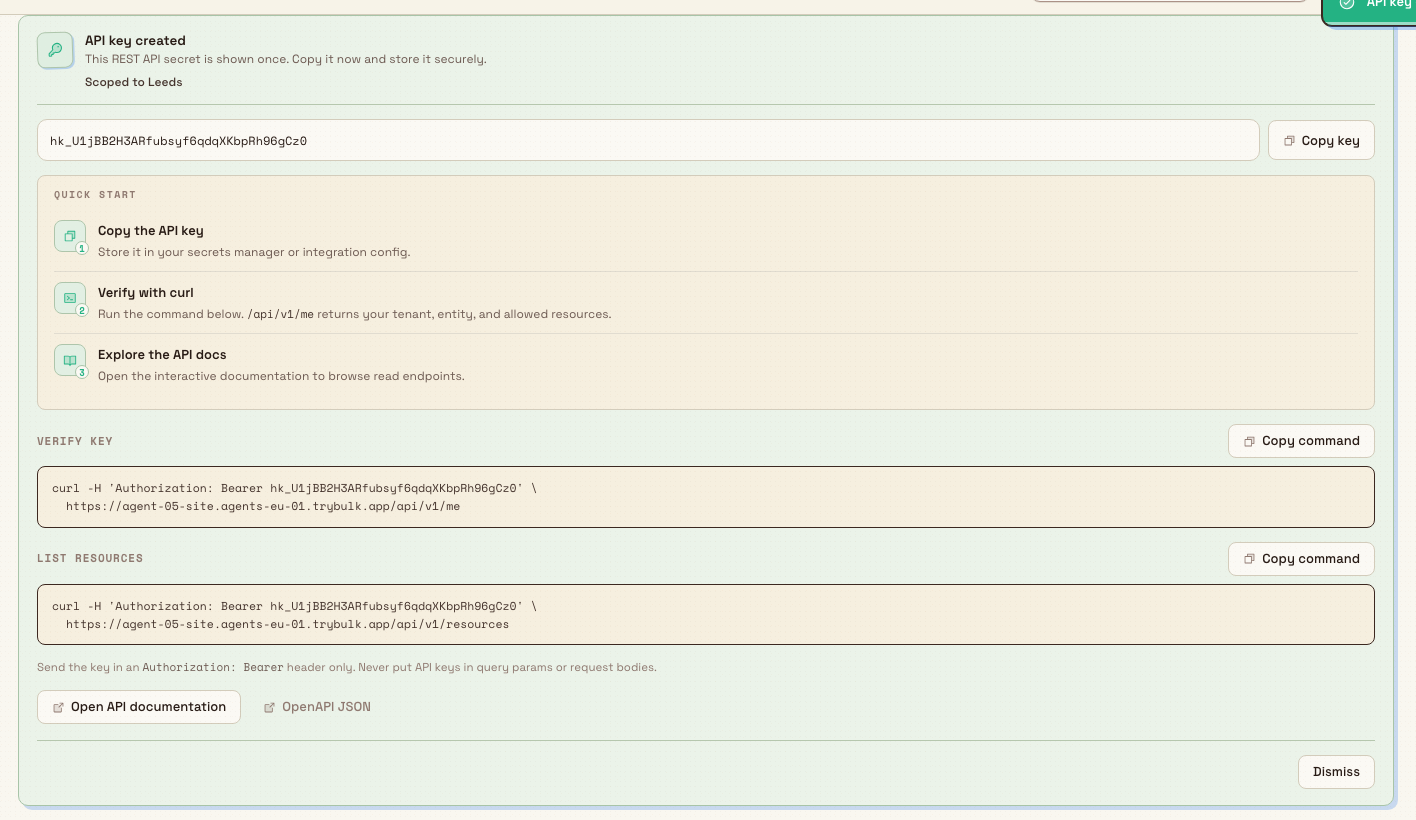 One-time API key secret panel with copy control and curl quick-start examples.